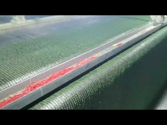 3/8 inch landscape grass