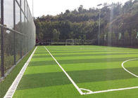 8800 Dtex Artificial Turf For Sports Fields 3 Colors Strong Cluster Pulling 5 People Soccer