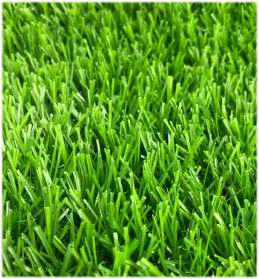 PE material grass multifunctional grass for kindergarten, primary school, middle school，green color turf