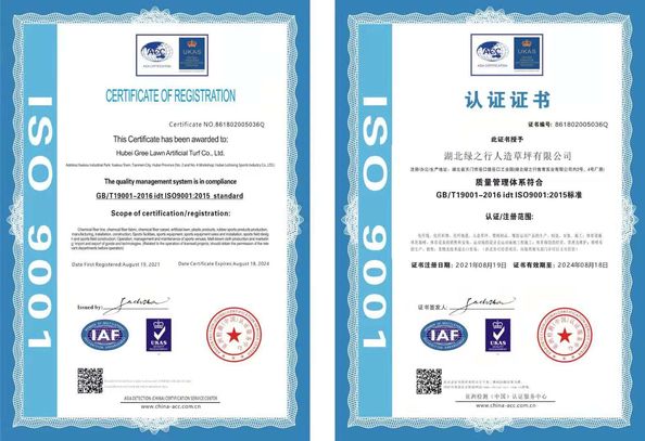 China Green trip sports industry group certificaten